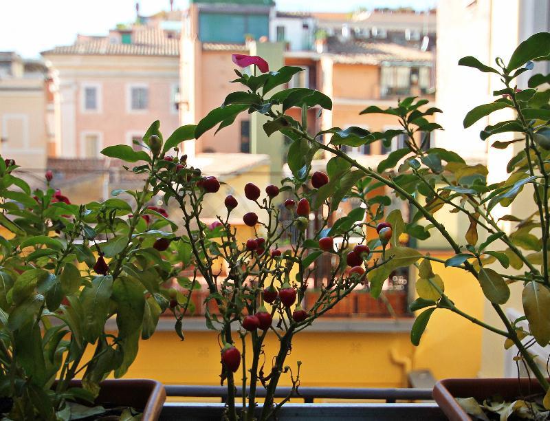 Magenta Pantheon Navona Rome Exterior photo